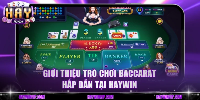 Giới thiệu trò chơi Baccarat hấp dẫn tại HayWin