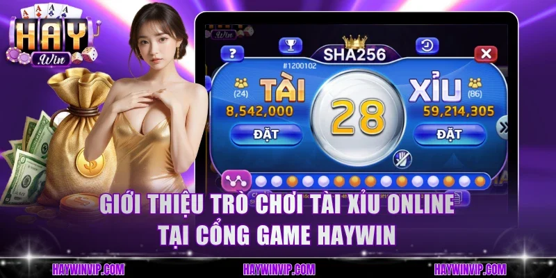 Giới thiệu trò chơi Tài Xỉu online tại cổng game HayWin