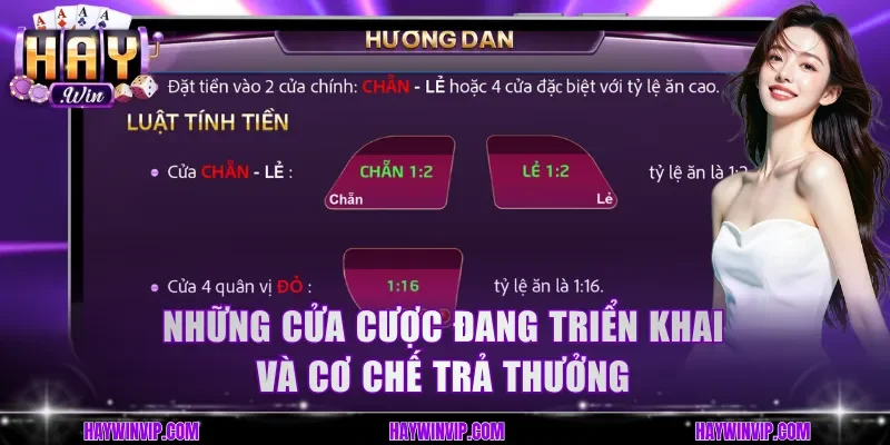 Những cửa cược đang triển khai và cơ chế trả thưởng