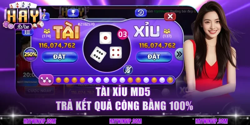 Tài Xỉu MD5 trả kết quả công bằng 100%