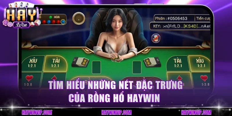 Tìm hiểu những nét đặc trưng của Rồng Hổ HayWin
